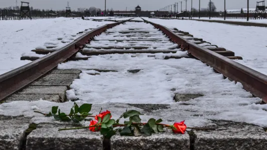 Međunarodni dan sjećanja na žrtve holokausta obilježava se 27. siječnja, Foto: Židovski forum/Canva