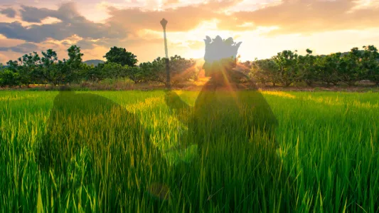 Elul je razdoblje kada je "Kralj u polju" - metafora koja govori da je Božja prisutnost u tim danima posebno bliska i pristupačna svakome od nas., Foto: Canva/Židovski forum